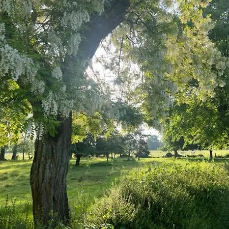 Le Domaine De La Gravette 게스트하우스