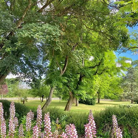 게스트하우스 Le Domaine De La Gravette