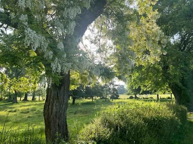 Le Domaine De La Gravette Casa de hóspedes