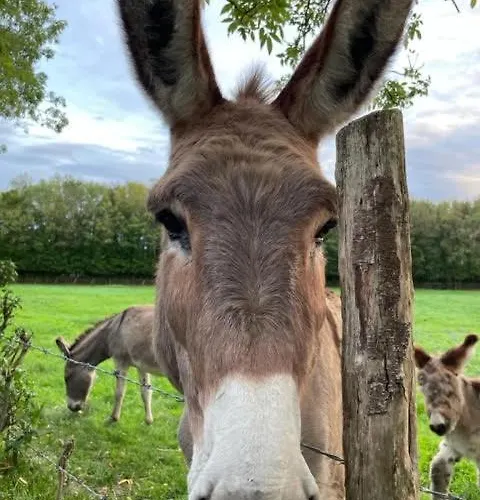 Casa de hóspedes Le Domaine De La Gravette *