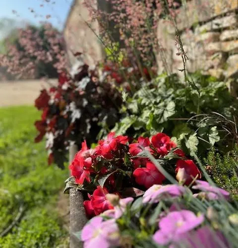 Le Domaine De La Gravette Beauvoir-sur-Niort
